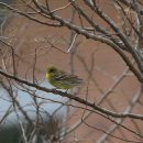 장머리방 이미지