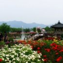 곡성-041 이미지