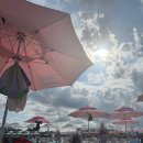 2026 한강수영장 드디어 개장! 🏊 한강공원 후기/요금/주차/운영시간/야간개장/준비물
