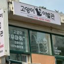 고양이 이발관 이미지