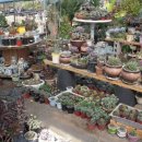 연성농장 이미지