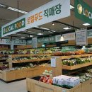 금산인삼직매장 - 중구 | 금산인삼직매장