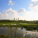 선경골프연습장 이미지