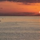 큰솔펜션 이미지