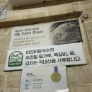 이선이칼국수 | [구미 산동 맛집] 비 오는 날 생각나는 칼국수🍜 이선이칼국수 내돈내산 후기 (쪽갈비 필수!)