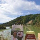 양구벌꿀 이미지