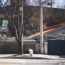 봉래산로 이미지