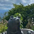 인월정육점 이미지