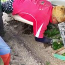 청년모종 이미지