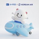대한와이드