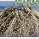 금산인삼직거래 이미지