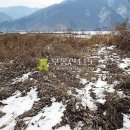 금대리농장 이미지