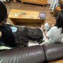 봄봄봄