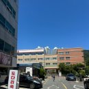 강고집 - 부평구 부흥로 329 | 부산 사하구 다대포 물회맛집 강고집 메뉴 위치 주차 내돈내산 후기