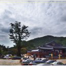 영남이네농장 | 동서부부와 금정산 한자락을 밟으며...