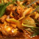 독스캣 강아지고양이 수원점 이미지