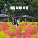 공항대로(북측) | 서울억새축제 2025 일정 주차 정보 하늘공원 가는길 총정리