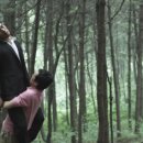 숲(Forest) 이미지