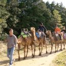 상필농장 이미지