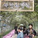 강변로길 이미지
