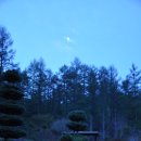 민들래민박 | 양평 풍유산 백패커 야영장 - 초록이 물들어가는 숲속 .. (4/19~4/20, 1박2일)