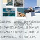 시를 쓰는 즐거움 네이버블로그