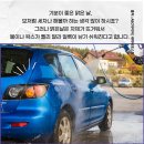 세차하기좋은날 네이버블로그