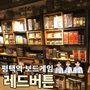 카탄광고 | [평택 보드게임 카페] 레드버튼 평택역점 내돈내산 후기, 게임부터 치킨, 커피까지 한 번에 즐긴 평택역...