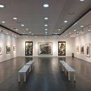 산수싸리 이미지