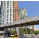 사파동246 이미지