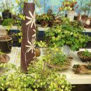 삼도농장 이미지