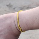 까사보니따 이미지