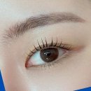 세븐일레븐 의정부시청광장점 | 반짝이는 아이 메이크업, 내추럴 뷰티의 비밀을 밝혀봐요! 의정부 속눈썹펌, 속눈썹연장