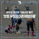 교로어촌계(교로 왜목농어촌체험휴양마을) | 2023 보령 당진 갯벌체험 총정리