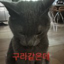 구라 - 순천시 | 구라