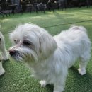 니멍내멍 이미지