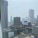 꽃다실 | 우메다 런닝코스 후기｜나카노시마 강변 야경 + 주변 명소까지 한 번에 달린 밤