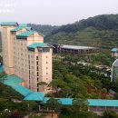 R & W 당구장 | [곤지암여행] 곤지암리조트 - 디럭스 스위트 B타입, 수영장 패밀리스파