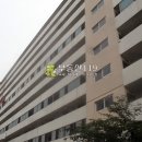 순환로198번길 Daum카페