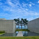 미므미므 이미지