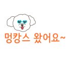 디데이펜션&캠핑 이미지