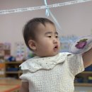💓찍찍이 공을 붙여요💓 이미지