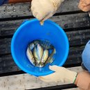 돌산해양낚시공원낚시터 이미지