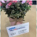 한방부동산공인중개사사무소 이미지