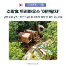 휴예술센터 | 수락산 자연휴양림 '수락휴 어린왕자' 단 3채뿐인 트리하우스 직접 가봤습니다