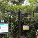 중머리재 이미지