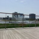 유수지근린공원 이미지