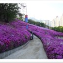 양지1공원 이미지