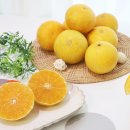 참좋은몰 이미지