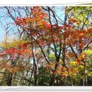 존자암지 이미지